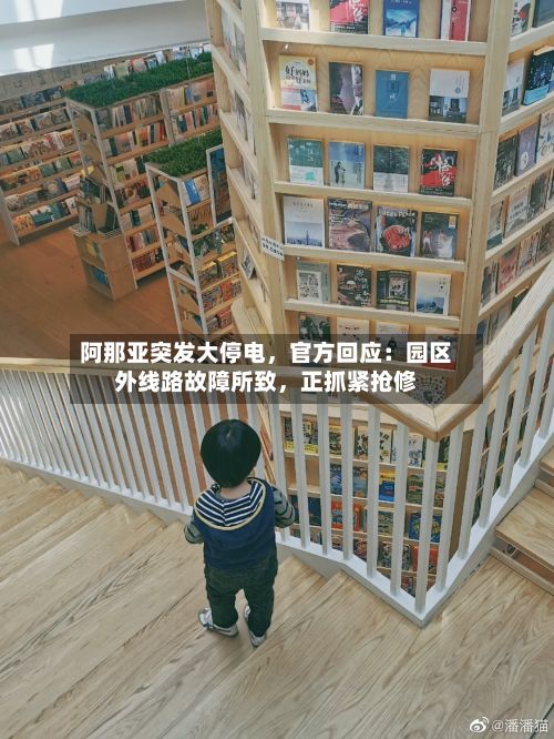 阿那亚突发大停电	，官方回应：园区外线路故障所致，正抓紧抢修-第3张图片