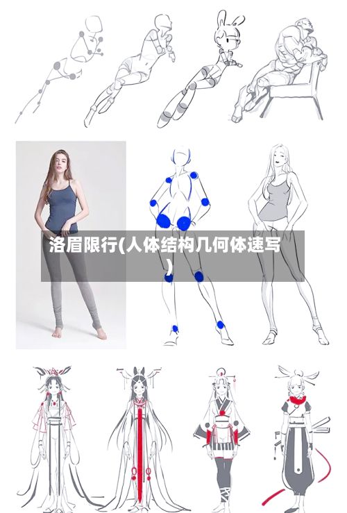 洛眉限行(人体结构几何体速写)