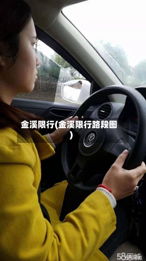 金溪限行(金溪限行路段图)