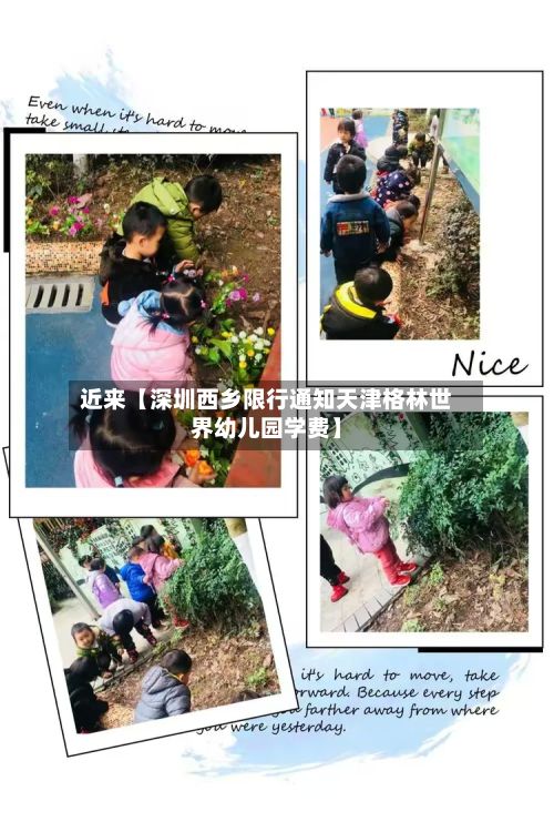 近来【深圳西乡限行通知天津格林世界幼儿园学费】