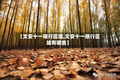 【文安十一限行区域,文安十一限行区域有哪些】-第2张图片