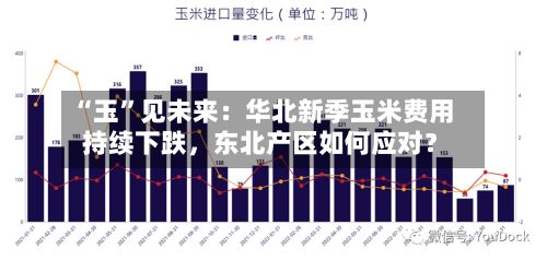 “玉	”见未来：华北新季玉米费用持续下跌，东北产区如何应对？-第1张图片