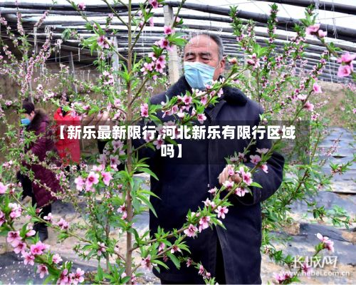 【新乐最新限行,河北新乐有限行区域吗】-第2张图片