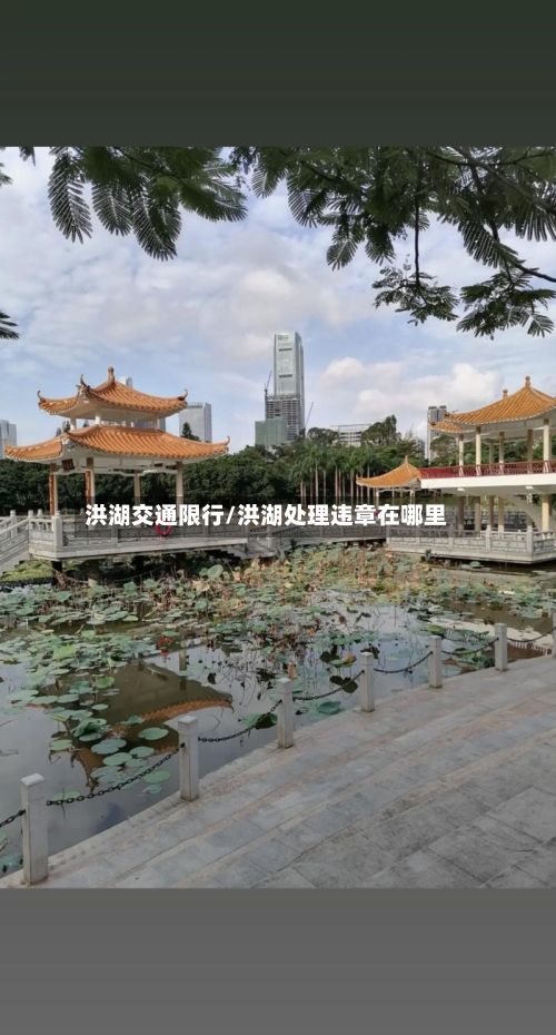 洪湖交通限行/洪湖处理违章在哪里-第2张图片