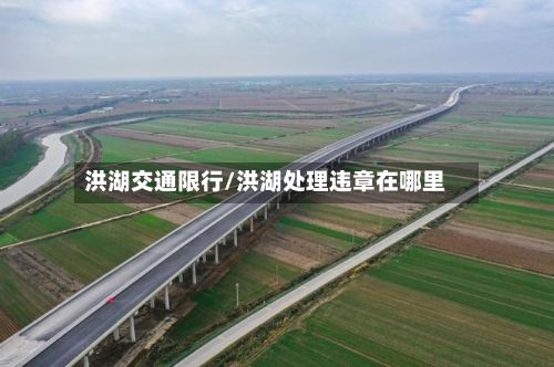 洪湖交通限行/洪湖处理违章在哪里-第3张图片