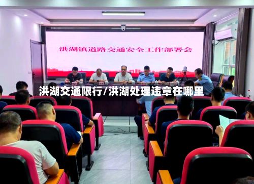 洪湖交通限行/洪湖处理违章在哪里