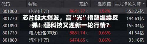 芯片股大爆发，高“光”指数继续反弹！硬科技又迎新一轮行情？-第2张图片