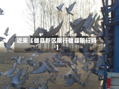 近来【雄县新区限行雄县限行吗】