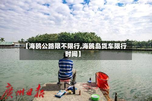 【海鸥公路限不限行,海鸥岛货车限行时间】-第3张图片