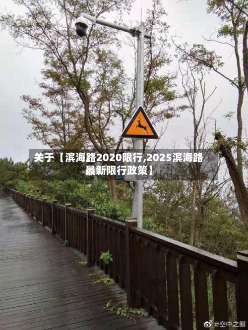 关于【滨海路2020限行,2025滨海路最新限行政策】
