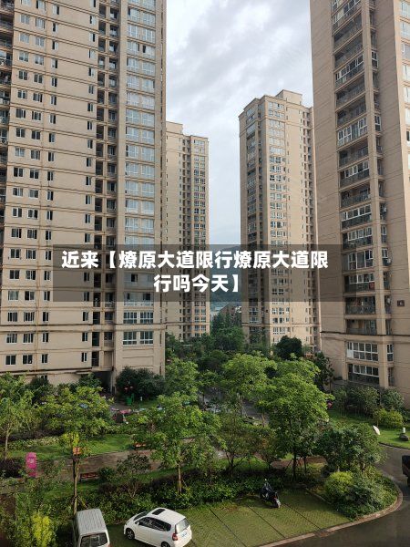 近来【燎原大道限行燎原大道限行吗今天】-第3张图片