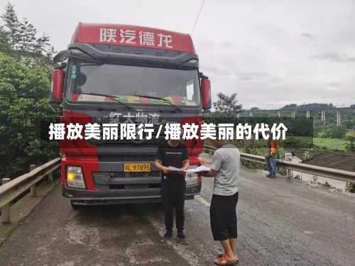播放美丽限行/播放美丽的代价-第2张图片
