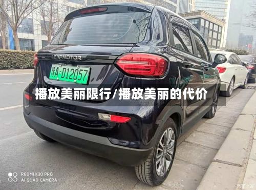 播放美丽限行/播放美丽的代价