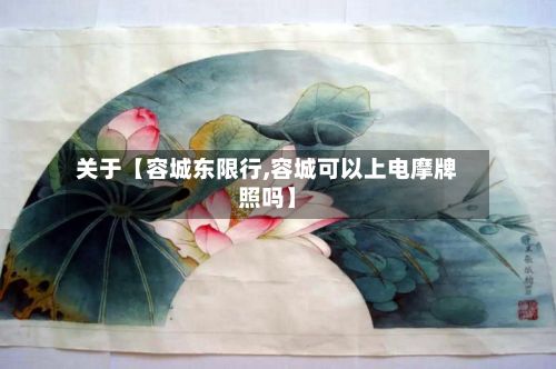 关于【容城东限行,容城可以上电摩牌照吗】
