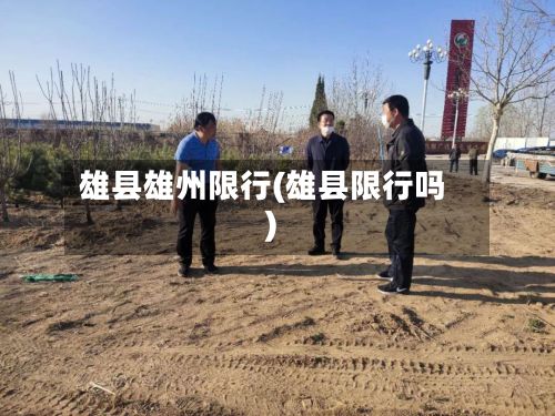 雄县雄州限行(雄县限行吗)