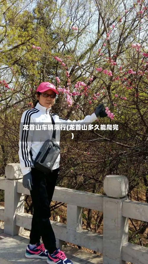 龙首山车辆限行(龙首山多久能爬完)