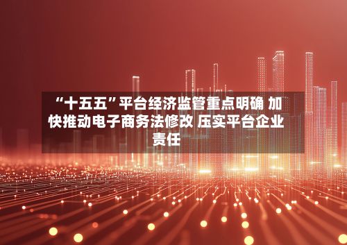“十五五”平台经济监管重点明确 加快推动电子商务法修改 压实平台企业责任-第3张图片