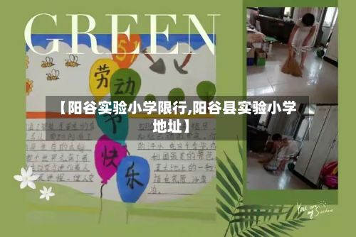 【阳谷实验小学限行,阳谷县实验小学地址】