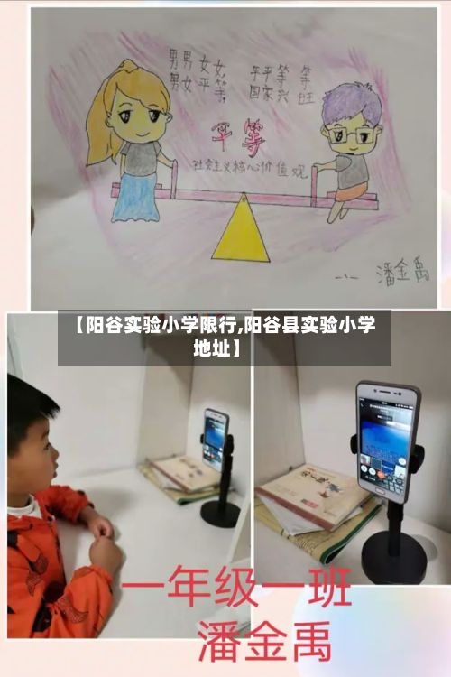 【阳谷实验小学限行,阳谷县实验小学地址】-第2张图片