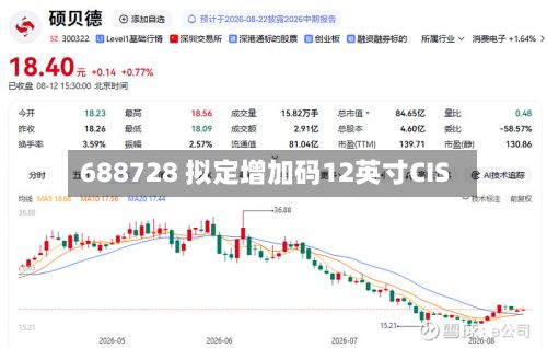 688728 拟定增加码12英寸CIS-第1张图片
