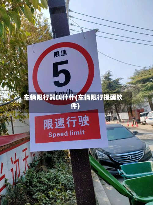 车辆限行器叫什什(车辆限行提醒软件)-第3张图片