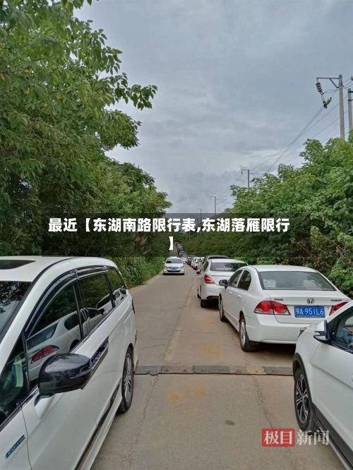 最近【东湖南路限行表,东湖落雁限行】-第2张图片