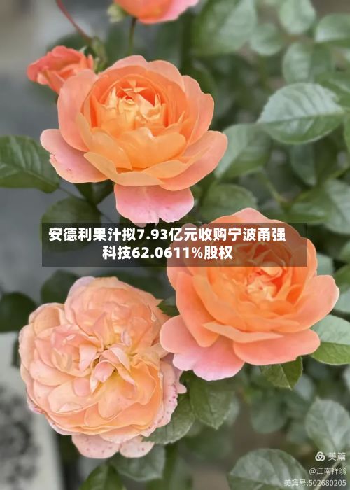 安德利果汁拟7.93亿元收购宁波甬强科技62.0611%股权-第1张图片