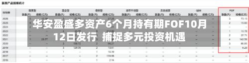 华安盈盛多资产6个月持有期FOF10月12日发行  捕捉多元投资机遇-第3张图片