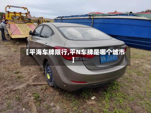 【平海车牌限行,平N车牌是哪个城市】