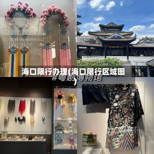 海口限行办理(海口限行区域图)