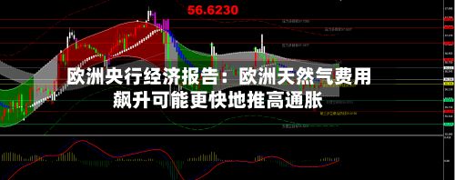 欧洲央行经济报告：欧洲天然气费用飙升可能更快地推高通胀
