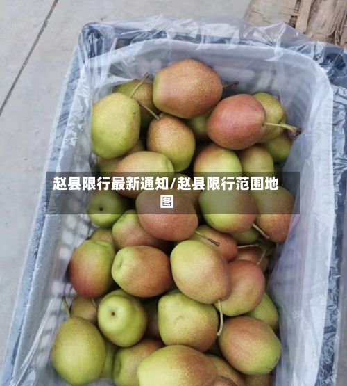 赵县限行最新通知/赵县限行范围地图