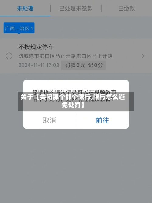 关于【关闭那个那个限行,限行怎么避免处罚】