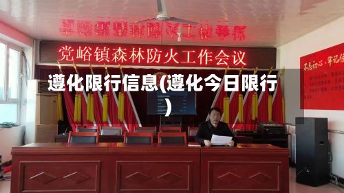 遵化限行信息(遵化今日限行)-第2张图片