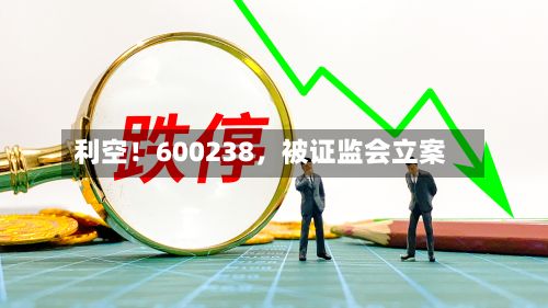 利空！600238，被证监会立案