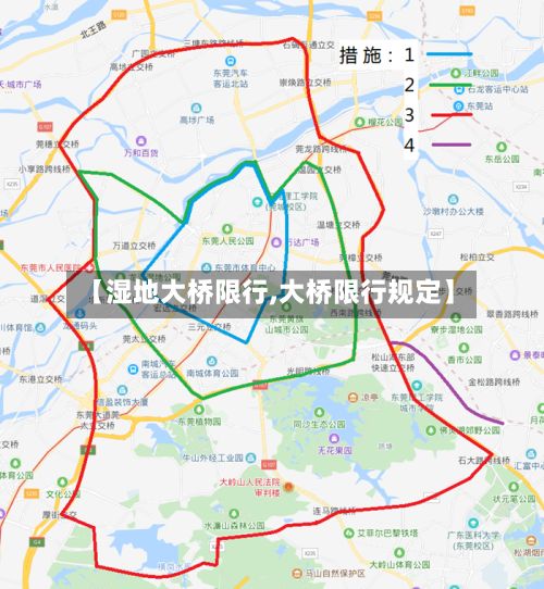 【湿地大桥限行,大桥限行规定】