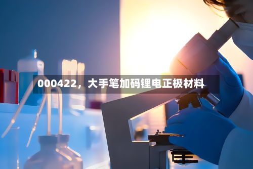 000422，大手笔加码锂电正极材料