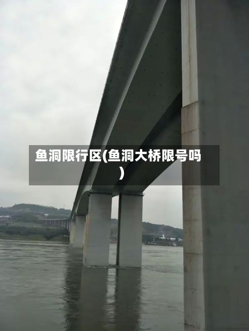 鱼洞限行区(鱼洞大桥限号吗)-第2张图片