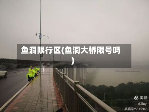 鱼洞限行区(鱼洞大桥限号吗)