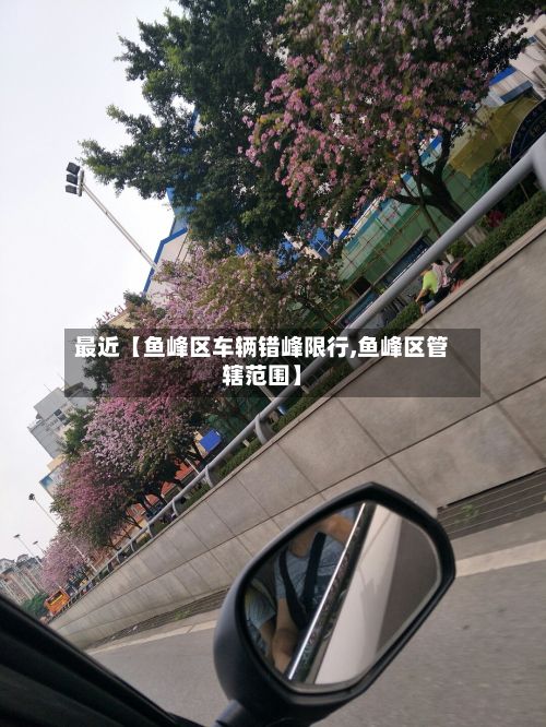 最近【鱼峰区车辆错峰限行,鱼峰区管辖范围】-第2张图片