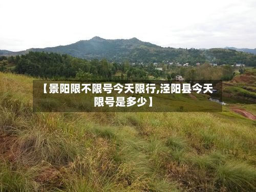 【景阳限不限号今天限行,泾阳县今天限号是多少】-第3张图片