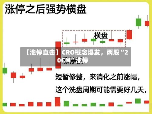【涨停直击】CRO概念爆发，两股“20CM	”涨停-第3张图片
