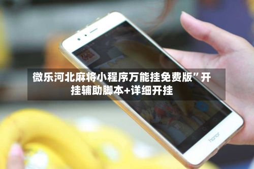 微乐河北麻将小程序万能挂免费版	”开挂辅助脚本+详细开挂-第3张图片