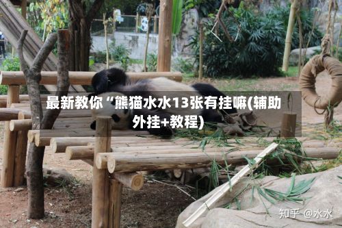 最新教你“熊猫水水13张有挂嘛(辅助外挂+教程)-第2张图片