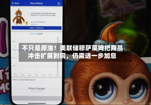 不只是原油！美联储穆萨莱姆把商品冲击扩展到铜，仍需进一步加息-第1张图片