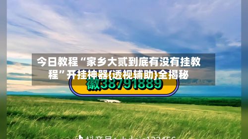 今日教程“家乡大贰到底有没有挂教程”开挂神器{透视辅助}全揭秘