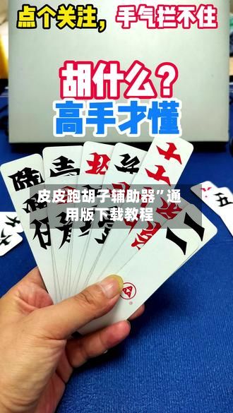 皮皮跑胡子辅助器	”通用版下载教程-第2张图片