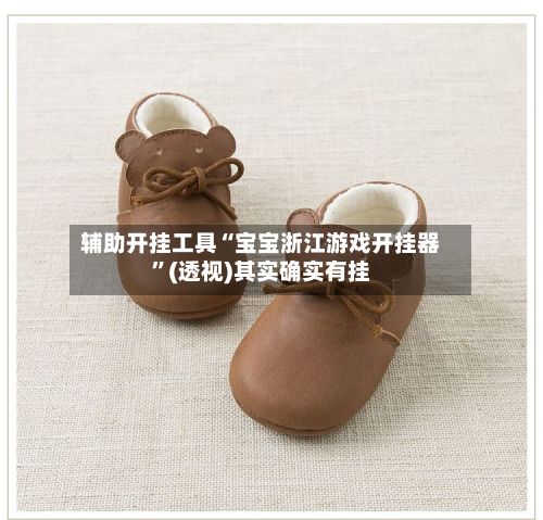 辅助开挂工具“宝宝浙江游戏开挂器”(透视)其实确实有挂-第2张图片