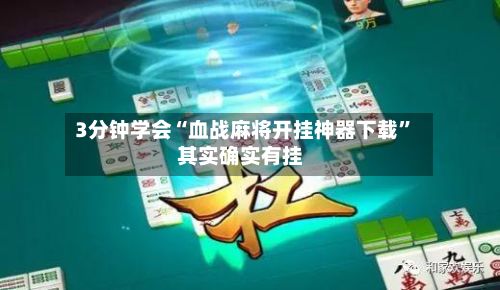 3分钟学会“血战麻将开挂神器下载	”其实确实有挂-第2张图片
