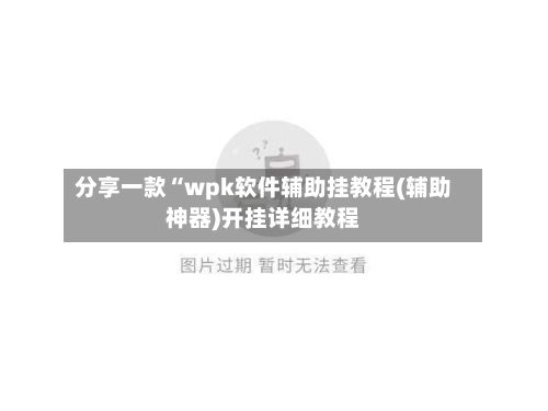 分享一款“wpk软件辅助挂教程(辅助神器)开挂详细教程